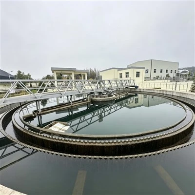 Municipal Sewage Sludge Scraper